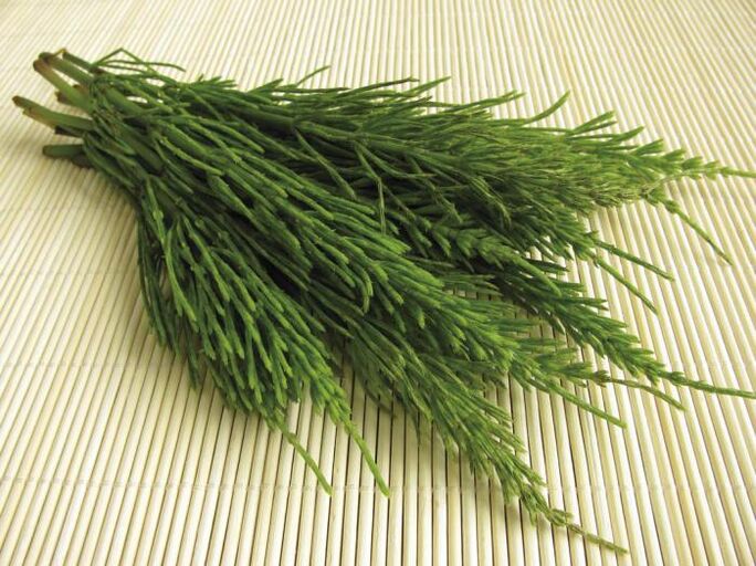 Horse tail - a natural diuretic for weight loss